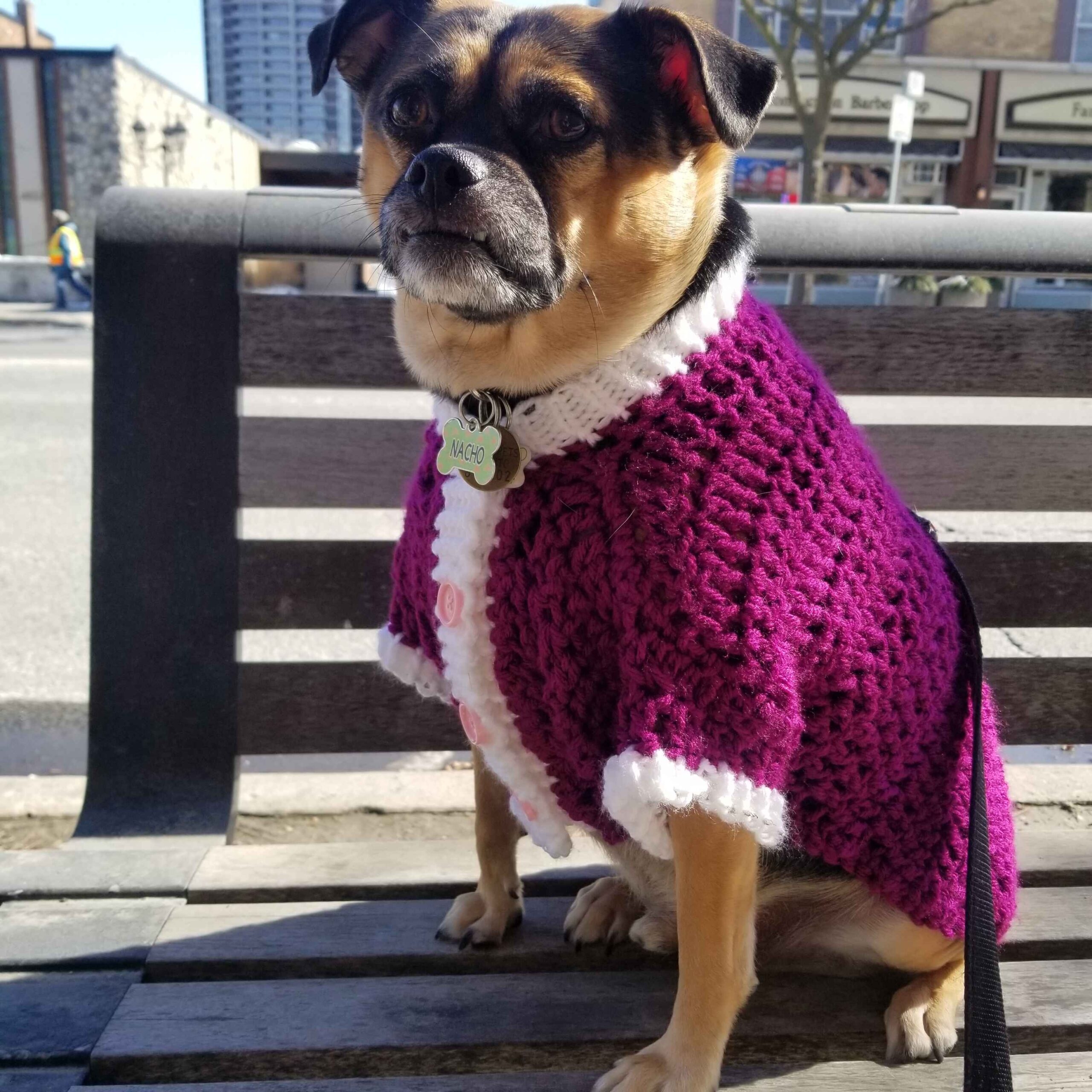 crochet dog sweater pattern crochet dog sweater pattern