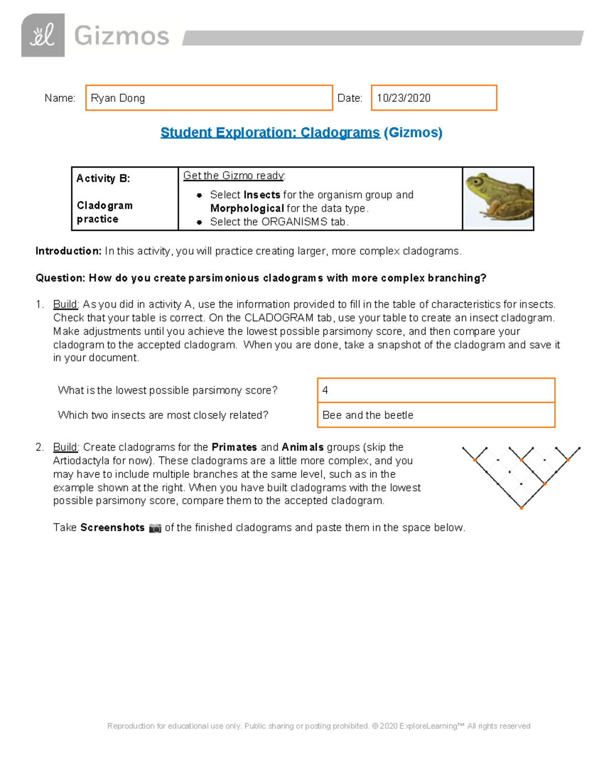 Work That I Did Student Exploration Cladograms Gizmos Introduction In This Activity You Studocu