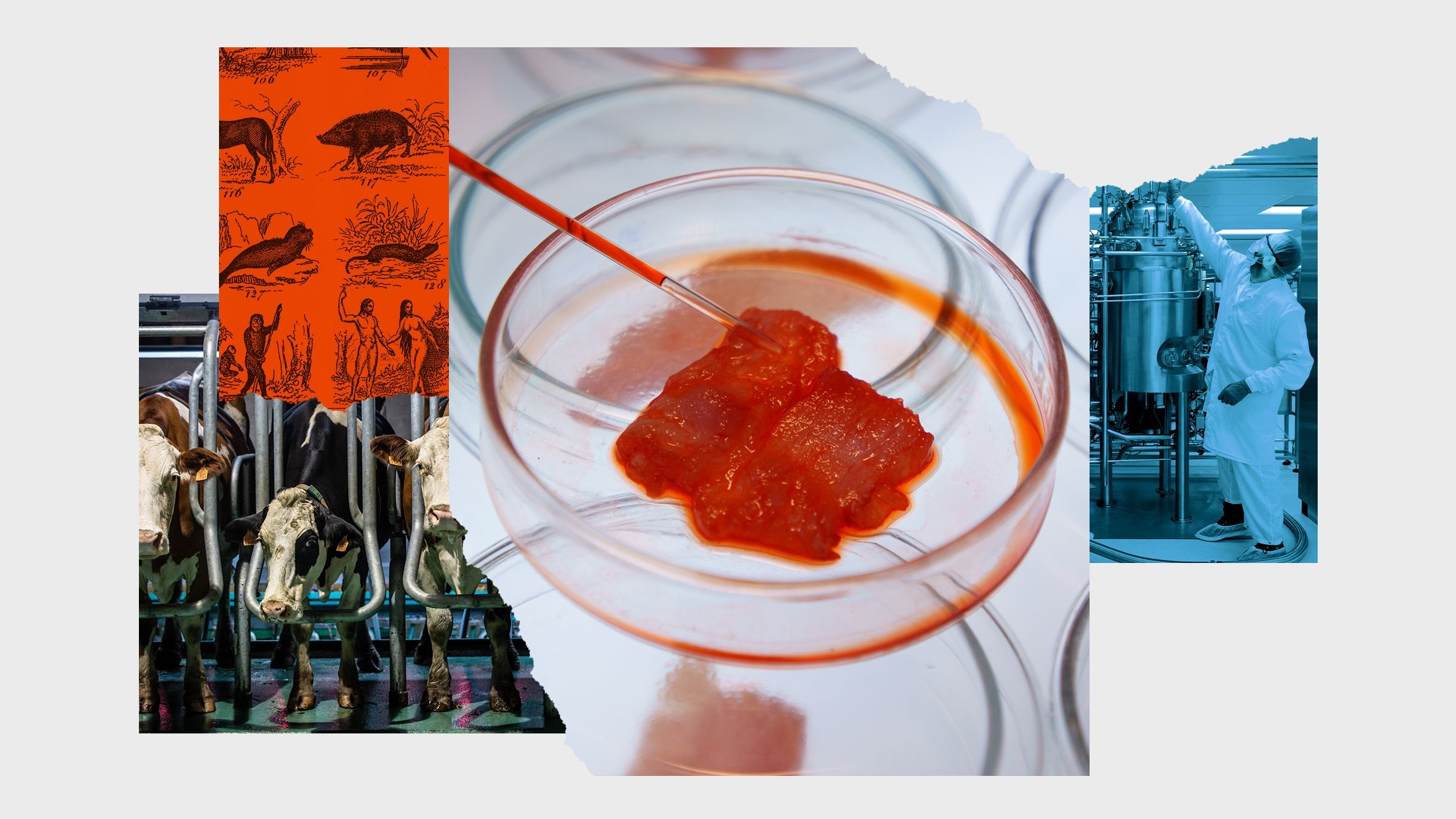 Yes Lab Grown Meat Is Vegan WIRED