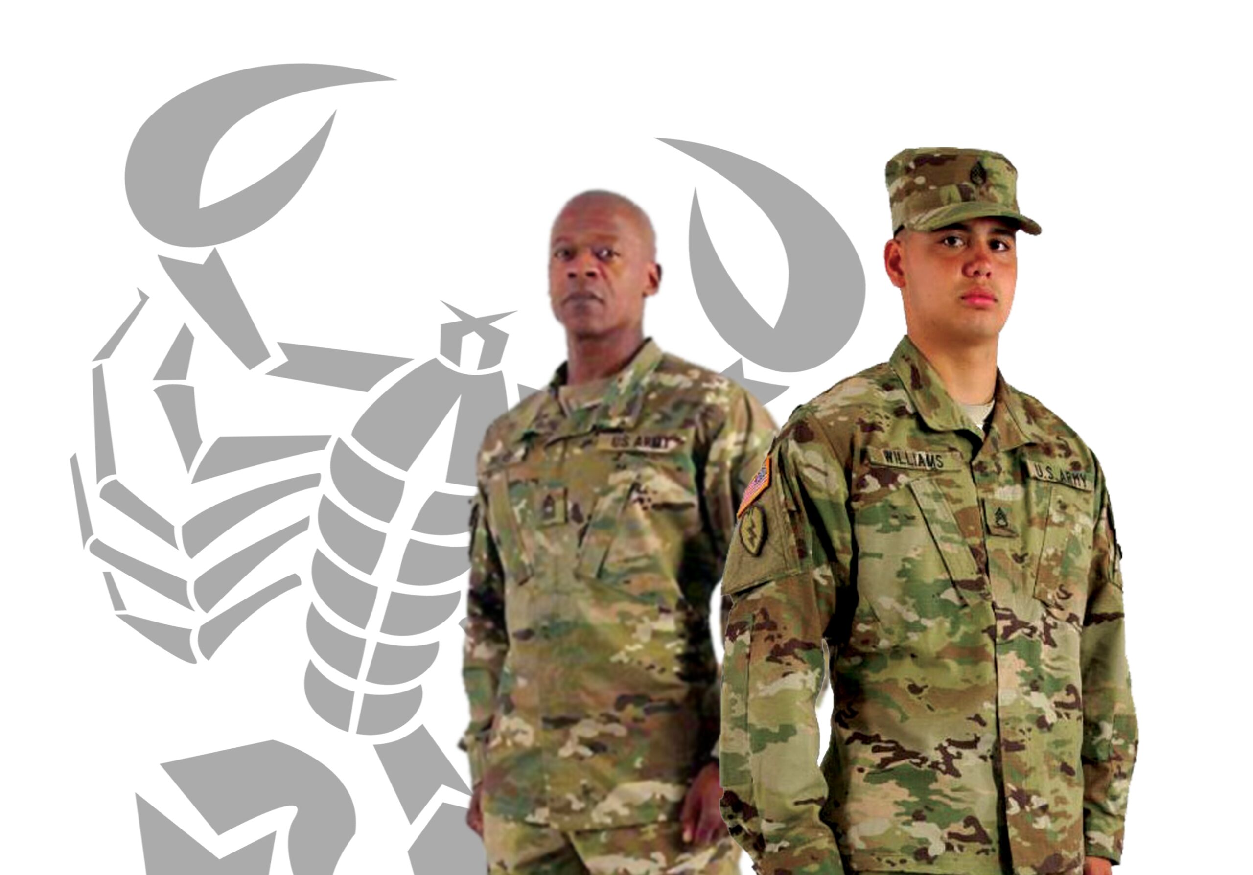 scorpion w2 camouflage pattern