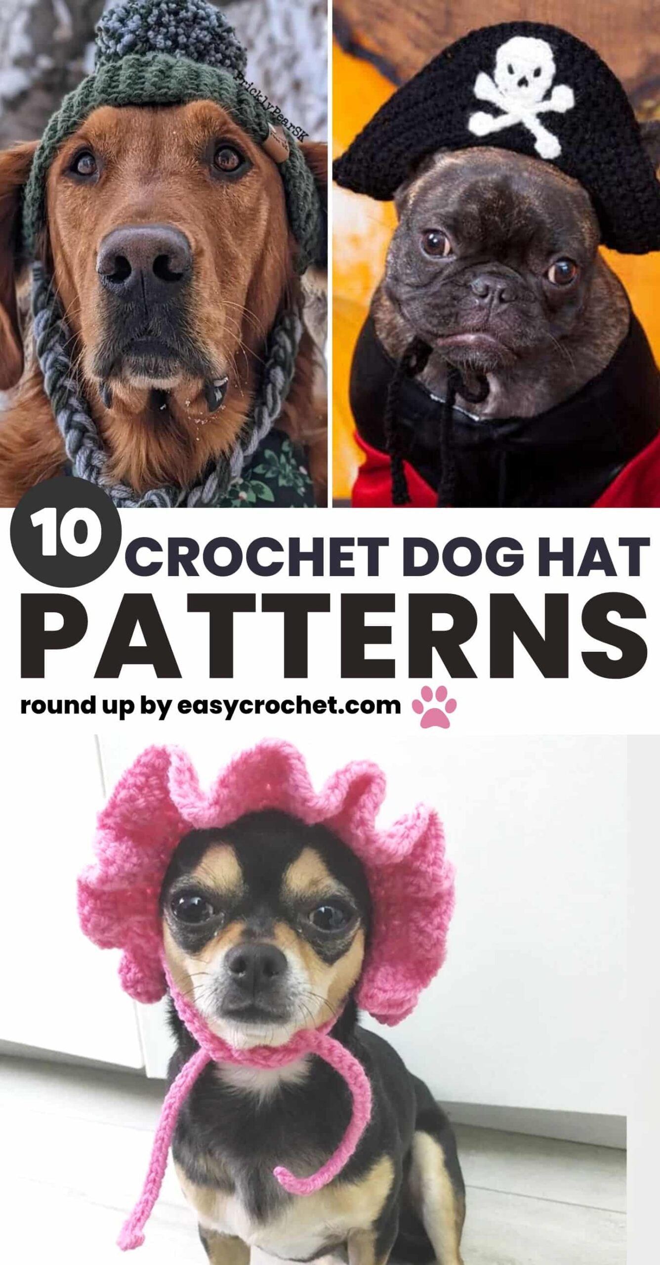 10 Cute Crochet Dog Hat Patterns To Make For Your Pup Easy Crochet Patterns