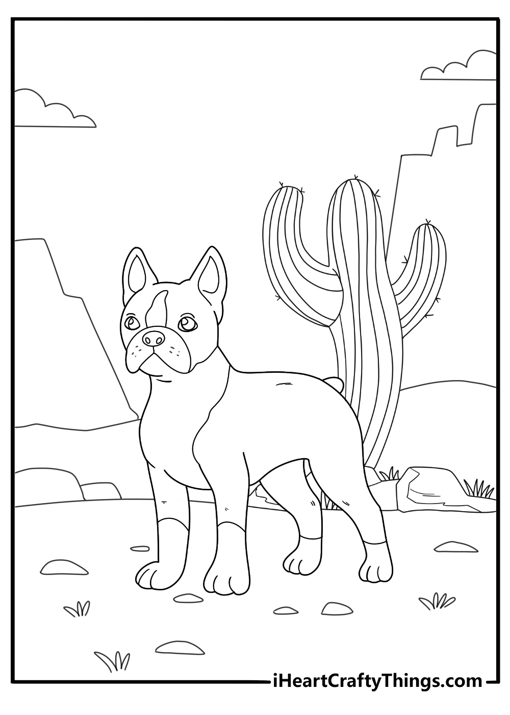 boston terrier coloring page boston terrier coloring page
