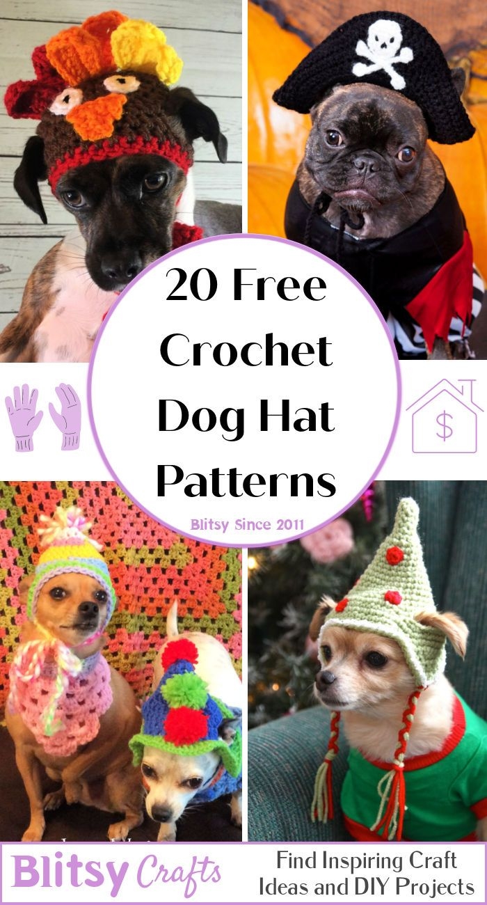 20 Free Crochet Dog Hat Patterns Detailed Pattern 