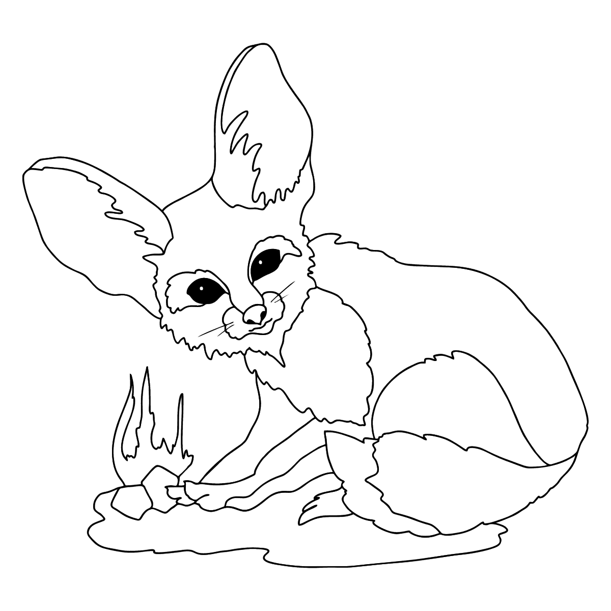 fennec fox coloring page fennec fox coloring page