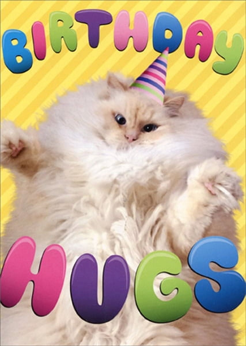 Avanti Press Birthday Hugs Cat Funny Birthday Card Walmart Avanti Press Birthday Hugs Cat Funny Birthday Card Walmart