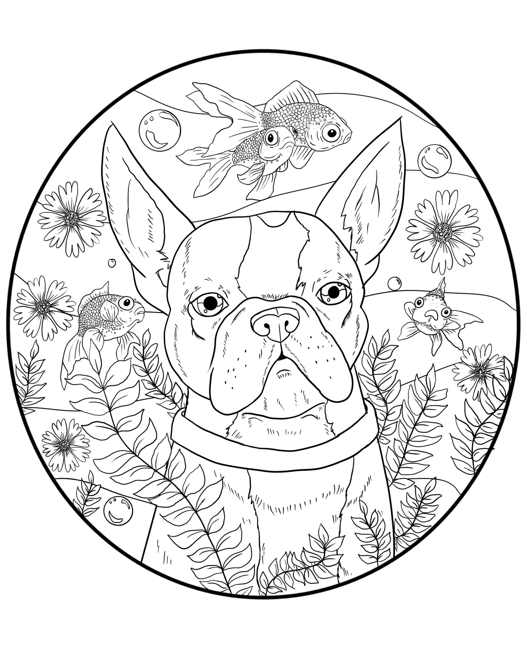 Boston Terrier Downloadable Coloring Page Etsy