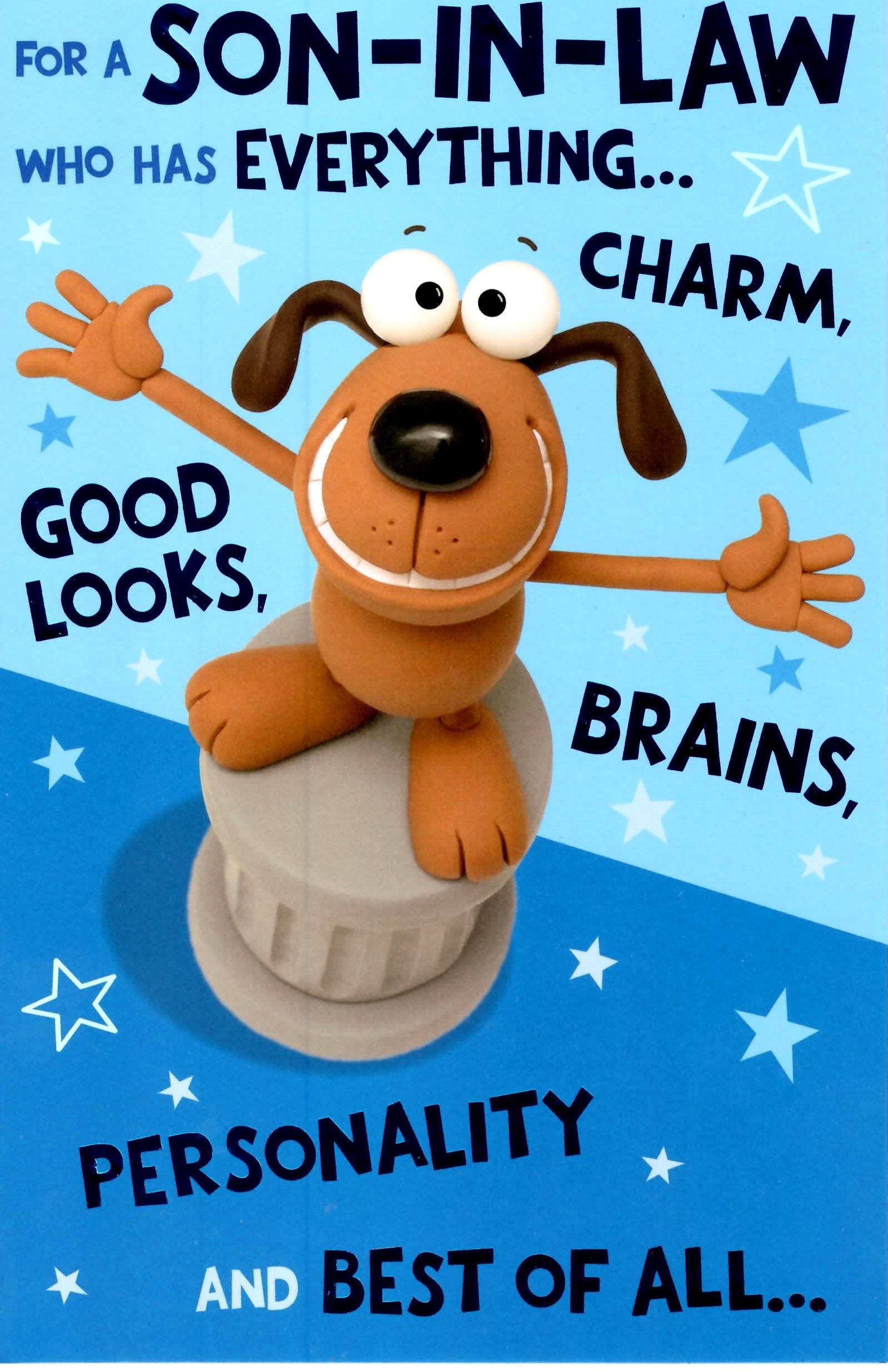 Cute Funny Son In Law Birthday Greeting Card Crackers Range Cards New EBay