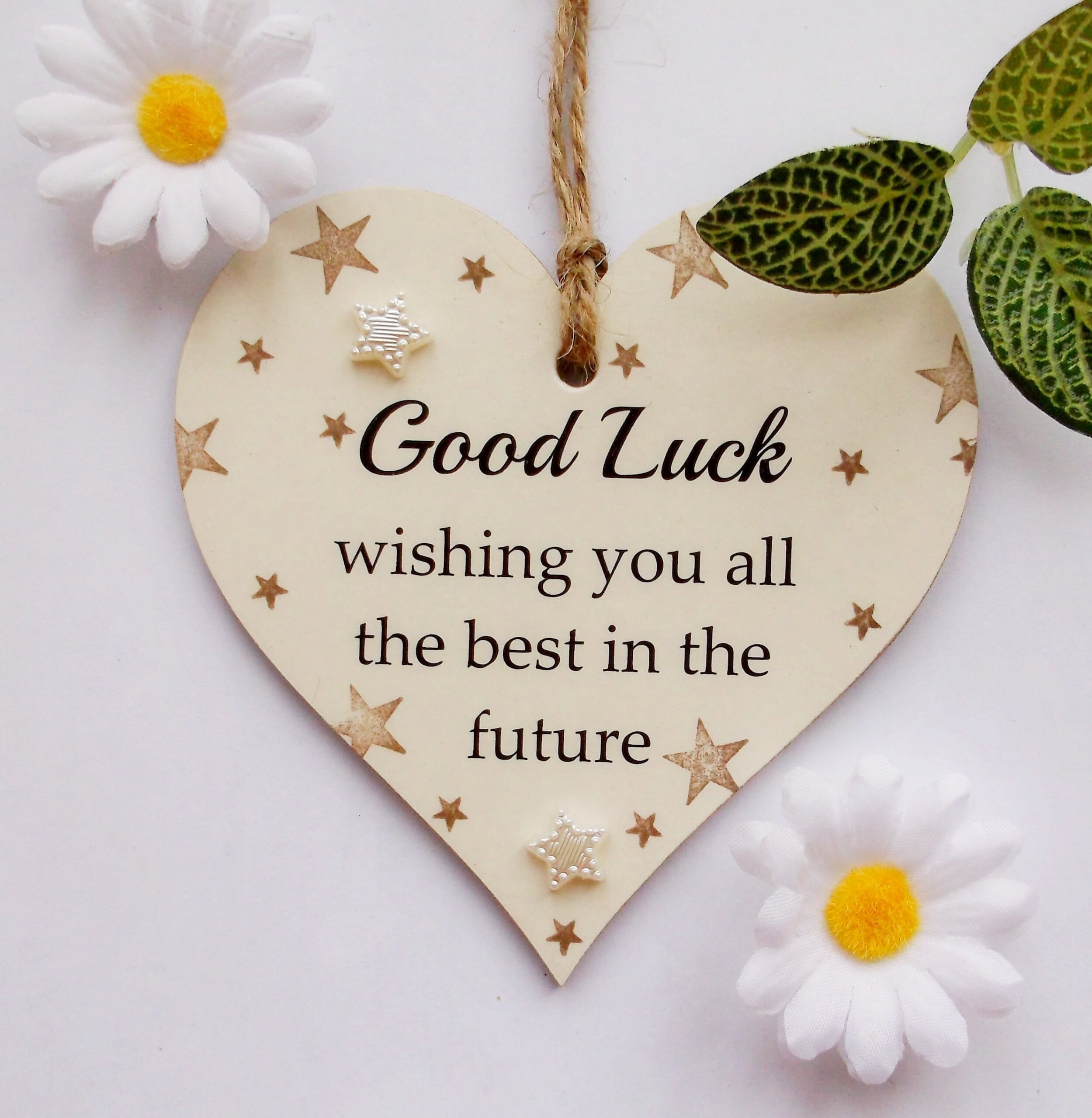 Good Luck Wishing You All The Best Neutral Stars Wooden Gift Heart Plaque sign Etsy Norway Good Luck Wishing You All The Best Neutral Stars Wooden Gift Heart Plaque sign Etsy Norway