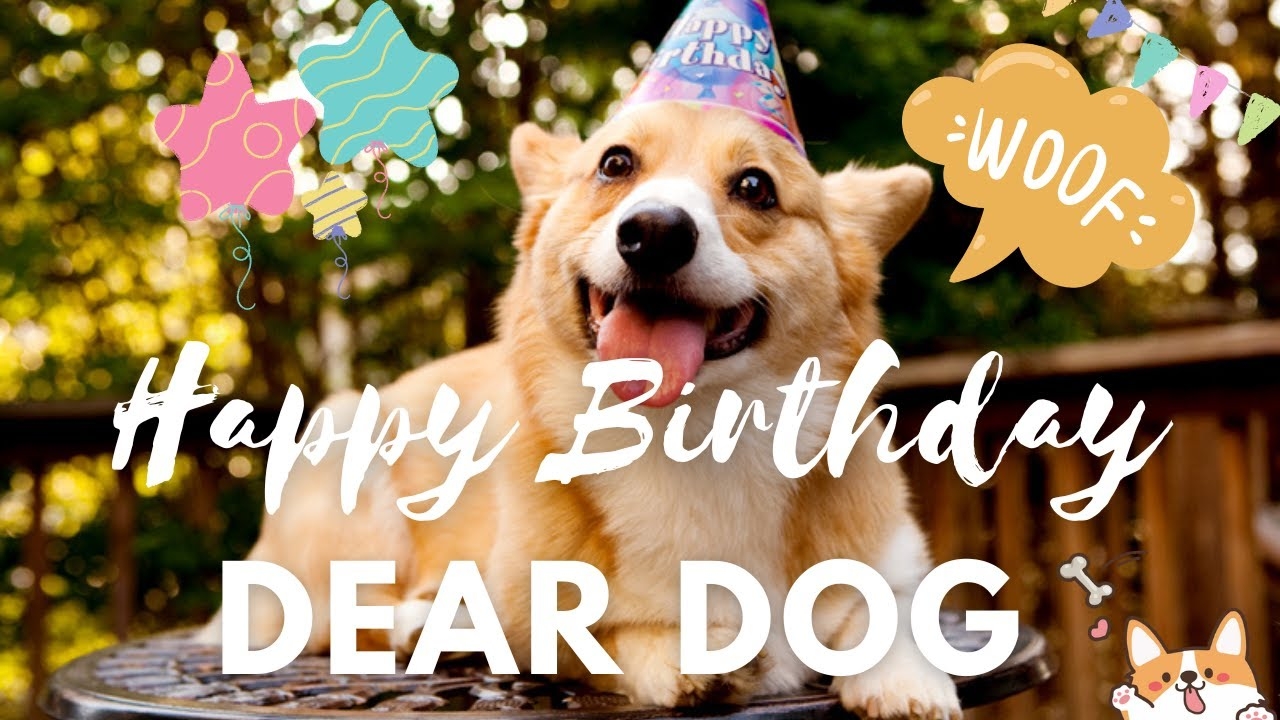 happy birthday with dog images happy birthday with dog images