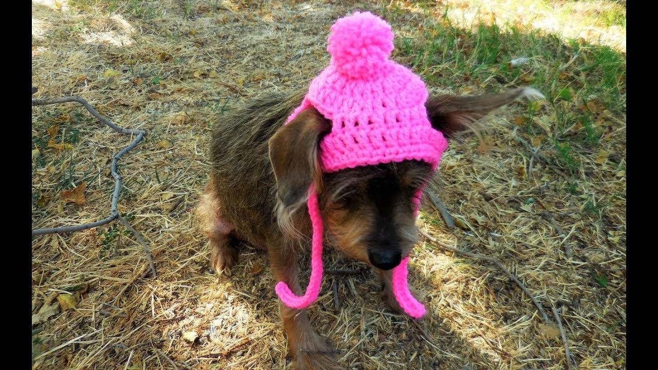 How To Crochet A Small Dog Cat Beanie YouTube