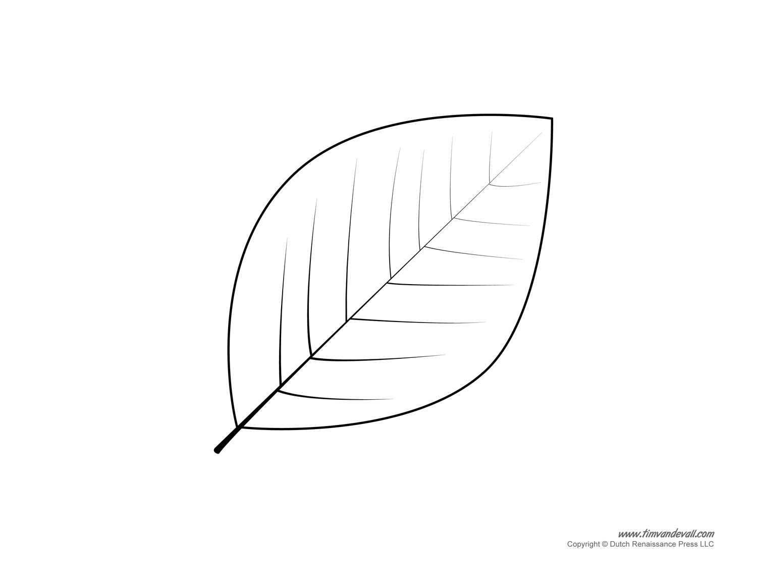 Leaf Template Printable Tim s Printables Leaf Template Printable Tim s Printables