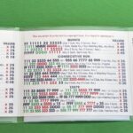 Mah Jongg Card Cover NMJL Standard Size Matte Finish Etsy