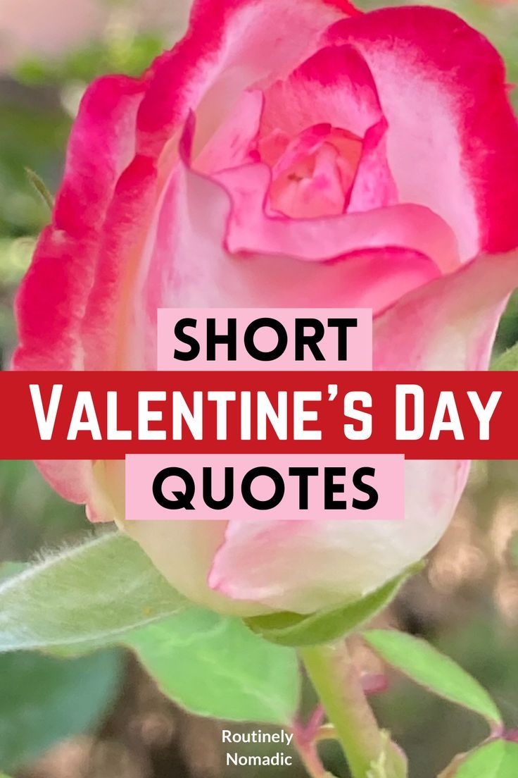 valentines day quotes short