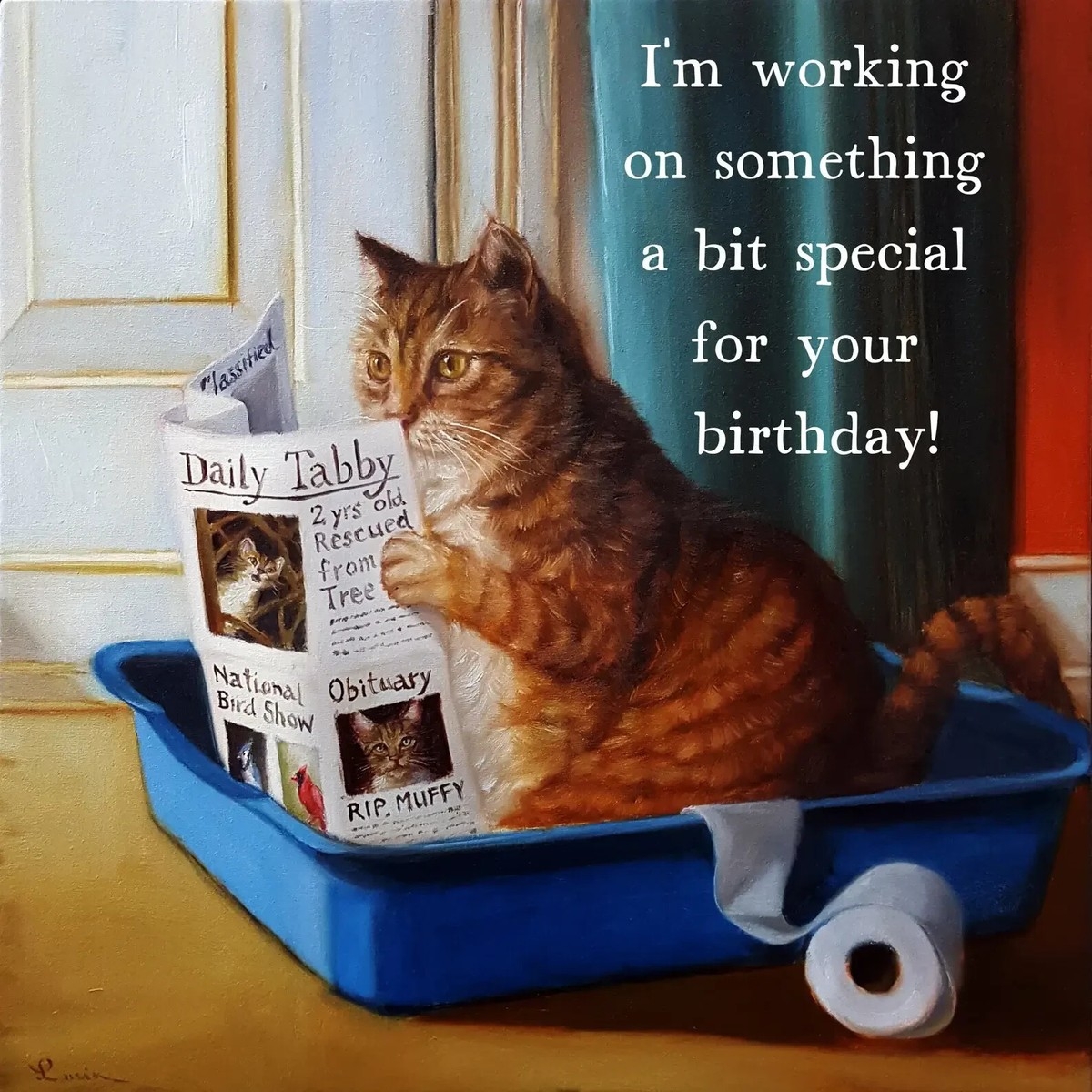 Something Special Funny Humorous Pun Cat Birthday Card Lucia Heffernan Art Cats EBay Something Special Funny Humorous Pun Cat Birthday Card Lucia Heffernan Art Cats EBay