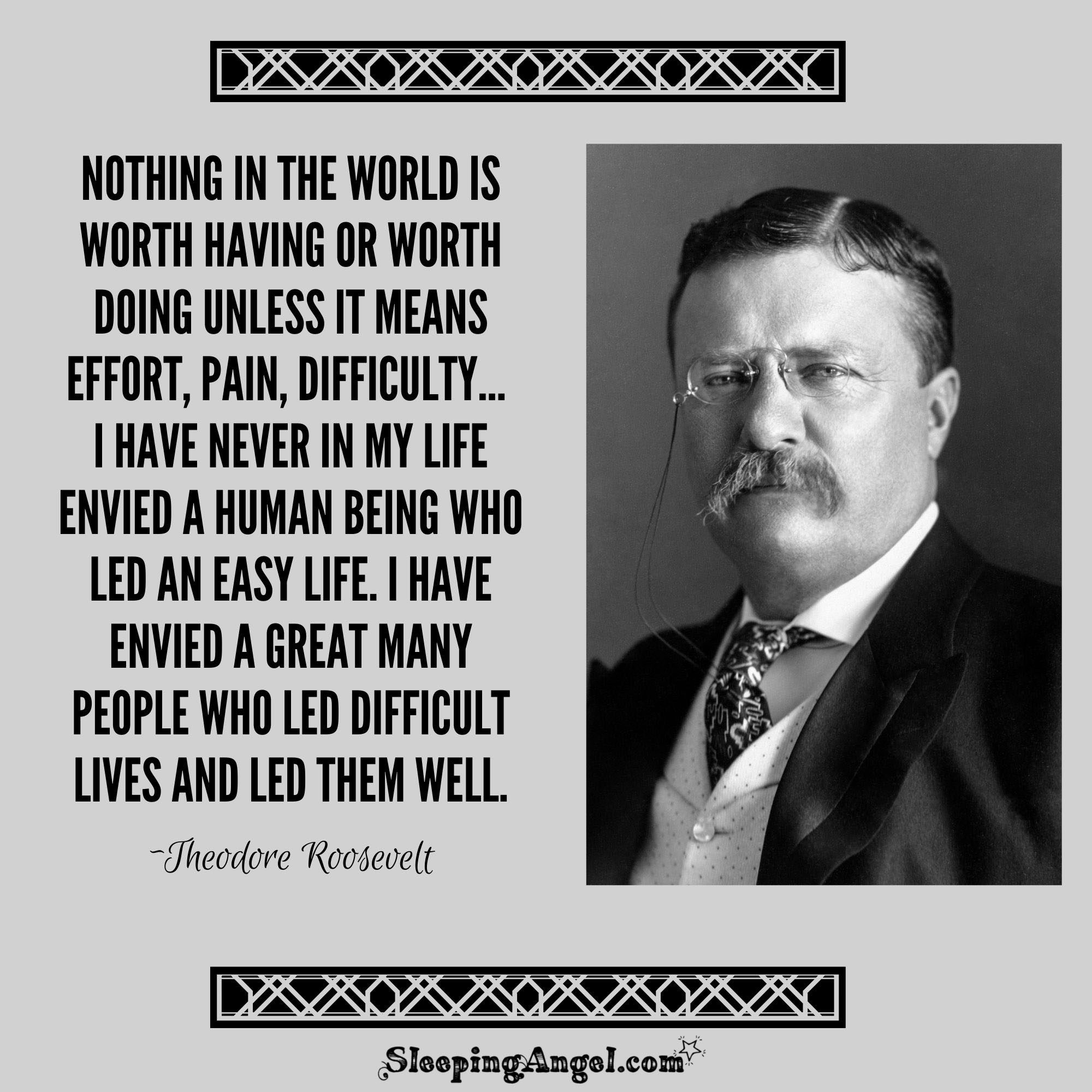 Theodore Roosevelt Quote Theodore Roosevelt Quote