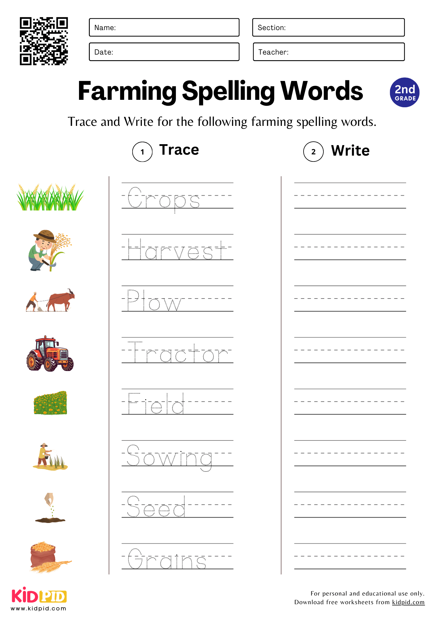 Trace Write Spelling Words Worksheet For Grade 2 Kidpid Trace Write Spelling Words Worksheet For Grade 2 Kidpid